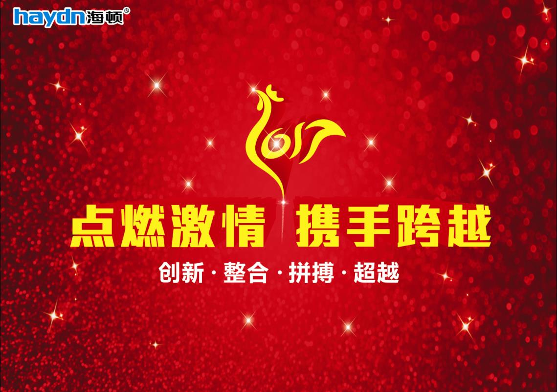 點燃激情|攜手跨越,海頓2017年春節晚會